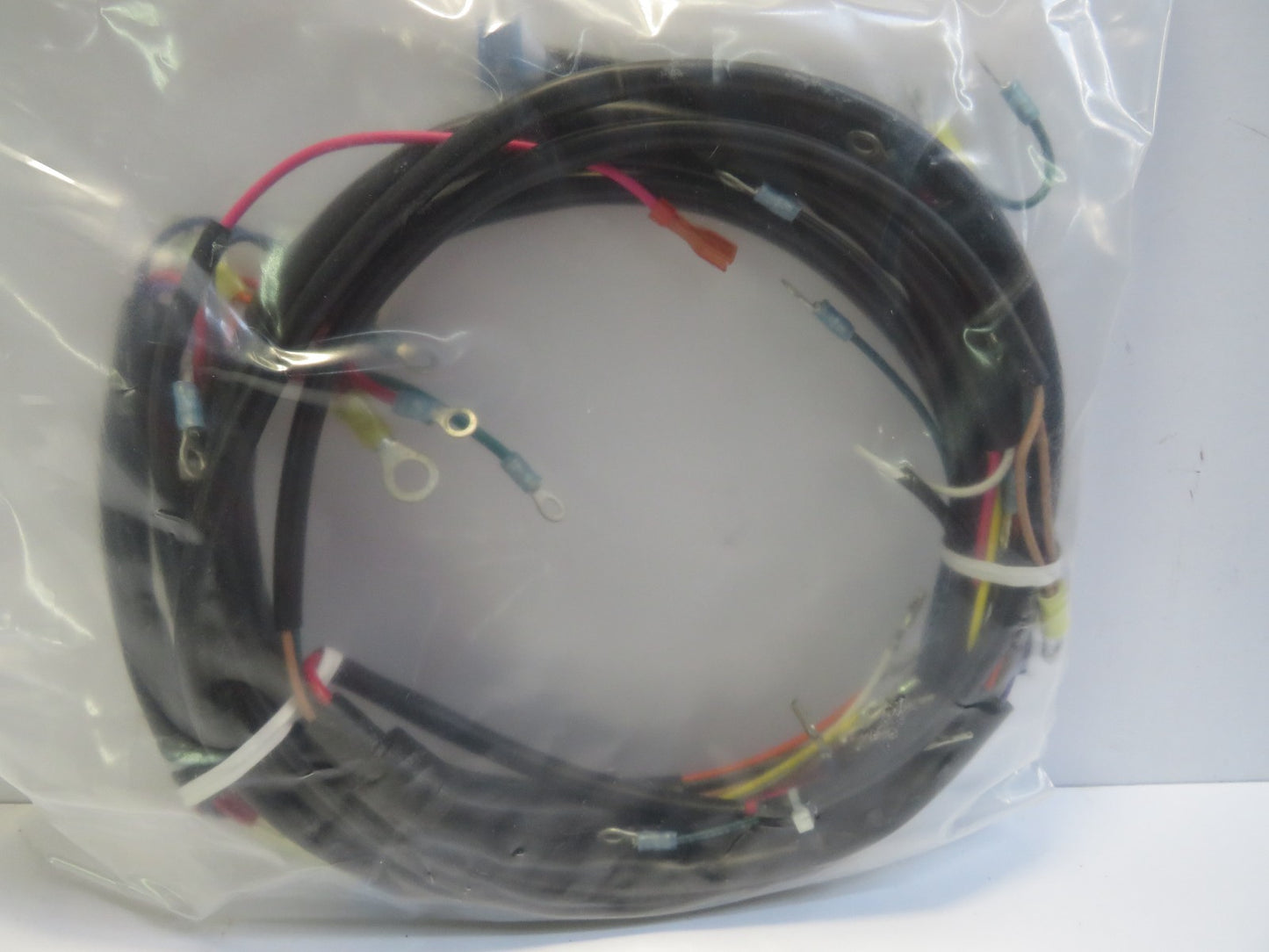 Harley Davidson Main Wiring Harness 1981 XL, XLS